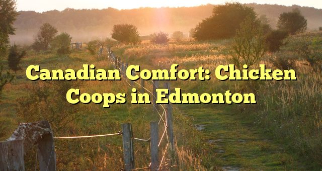 Canadian Comfort: Chicken Coops in Edmonton 